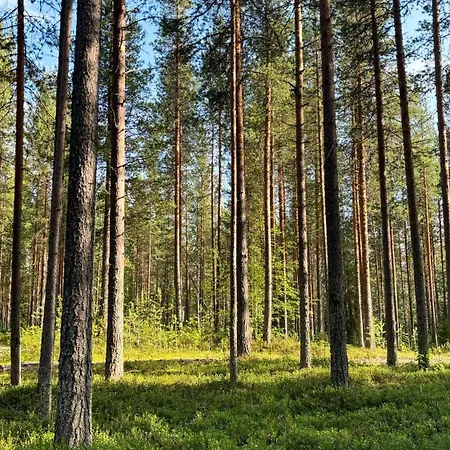 Chalet Sky - Sleeping Under The Stars - Private *