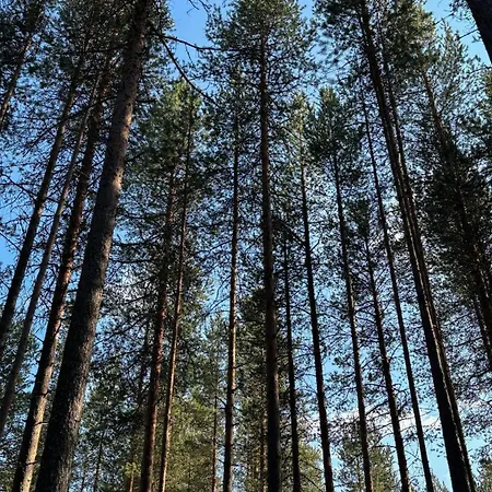 木屋 Sky - Sleeping Under The Stars - Private *