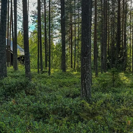 Chalet Sky - Sleeping Under The Stars - Private