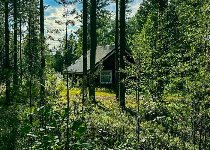 Шале Sky - Sleeping Under The Stars - Private