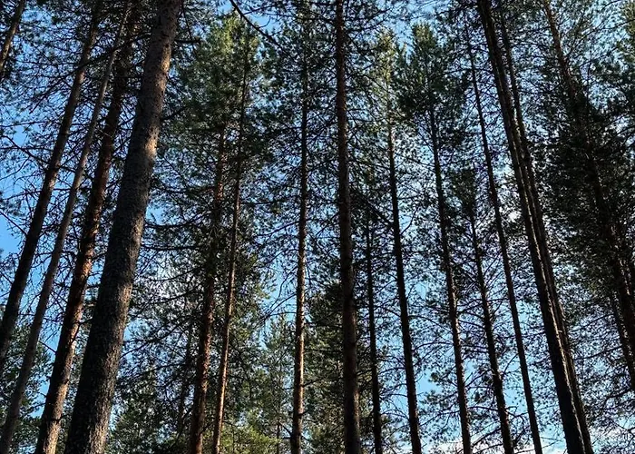 Шале Sky - Sleeping Under The Stars - Private *