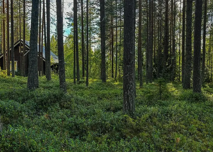 Шале Sky - Sleeping Under The Stars - Private