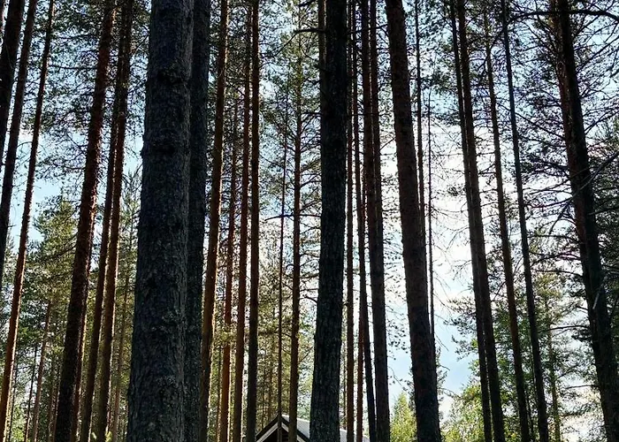 Sky - Sleeping Under The Stars - Private *